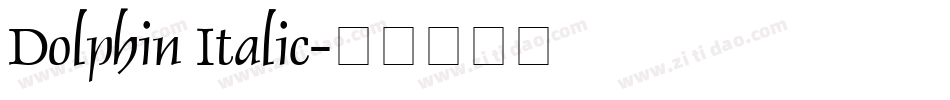 Dolphin Italic字体转换